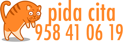 pida cita
