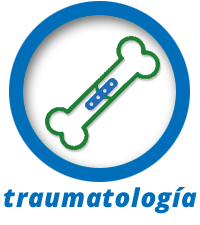 Traumatologia